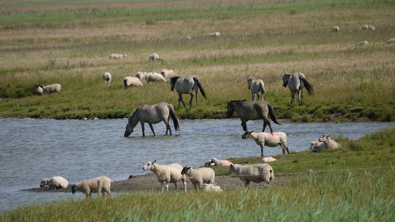Wattenblick Büsum Екстериор снимка