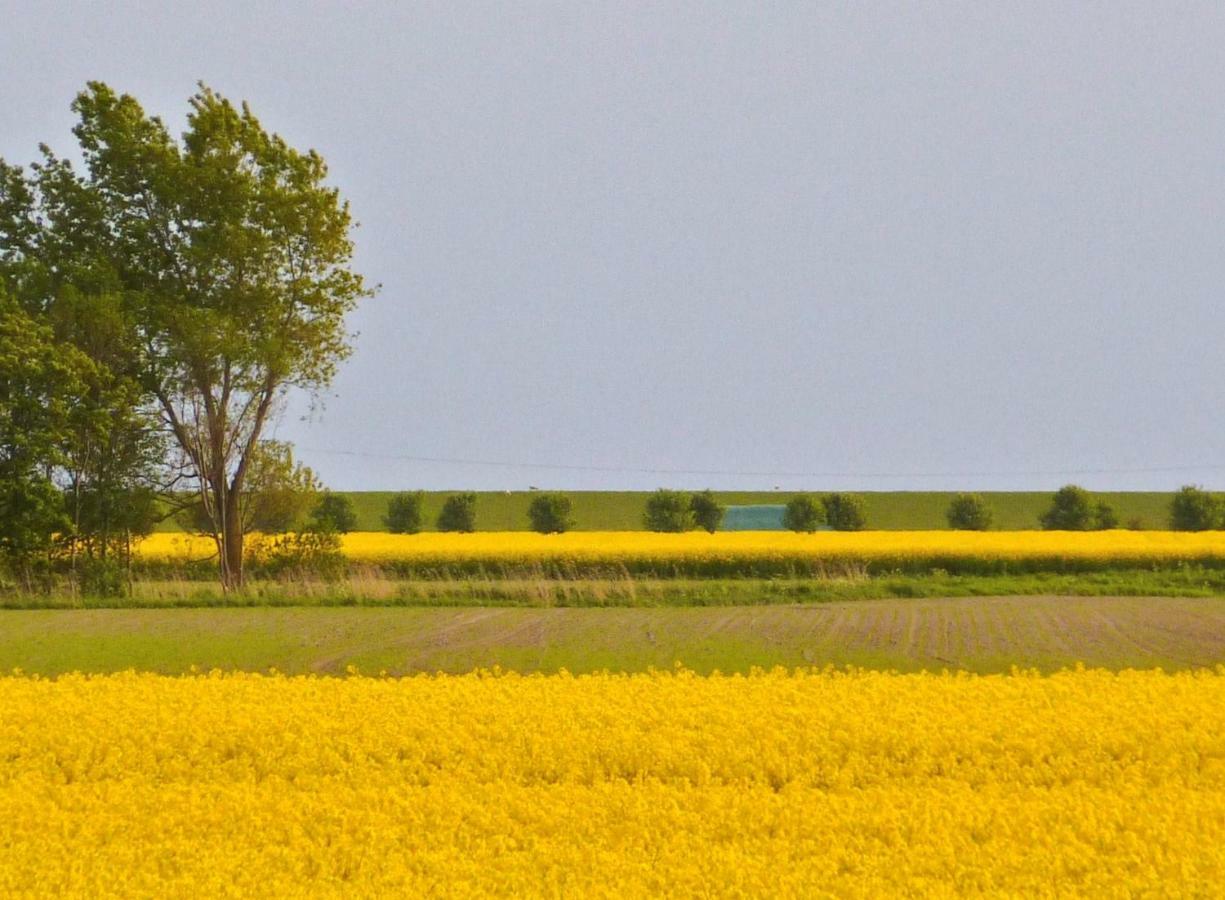 Wattenblick Büsum Екстериор снимка